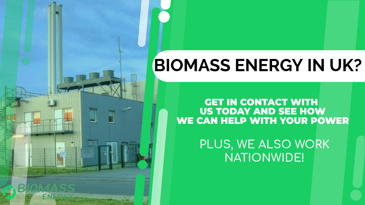 How available is biomass energy worldwide